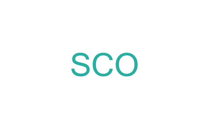 Курс: Сетевое администрирование SCO OpenServer