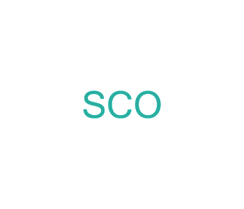 Курс: Новые возможности SCO OpenServer